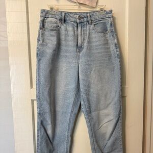 AE American Eagle curvy mom jeans strigid